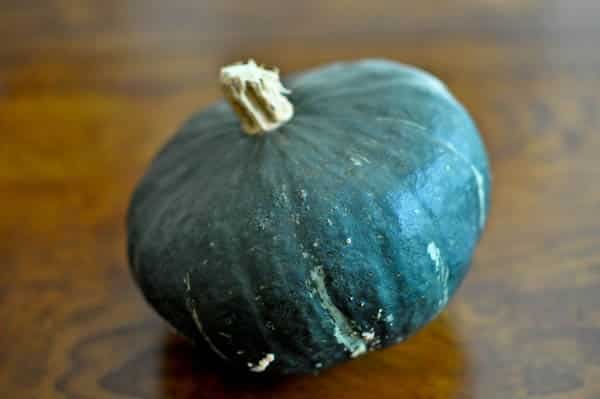 squash-2