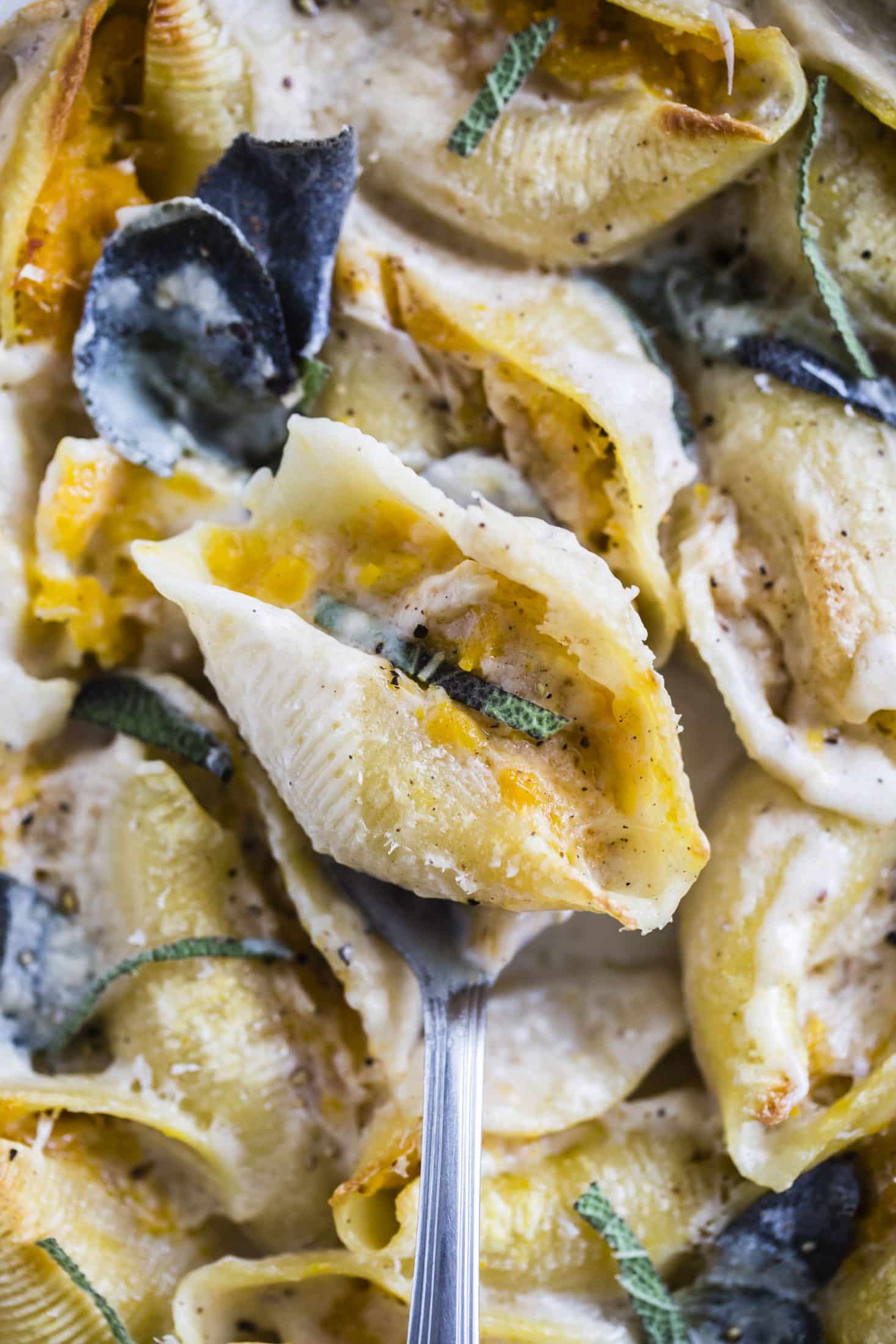 butternut squash stuffed shells and cheese I howsweeteats.com