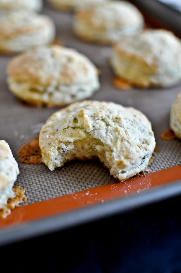 Blue Cheese Biscuits with Pinot Noir Butter I howsweeteats.com Blue Cheese Biscuits with Pinot Noir Butter I howsweeteats.com