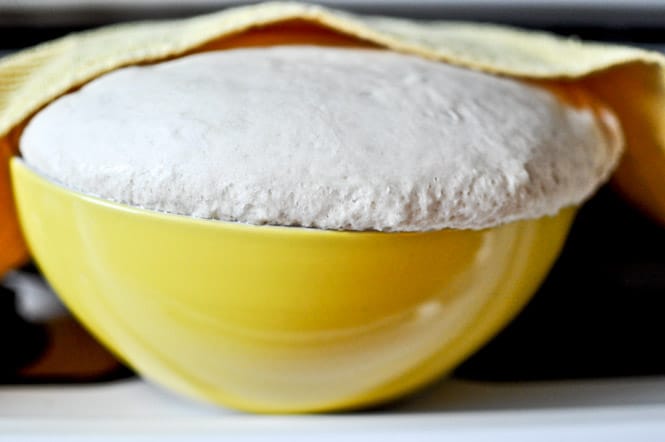 Homemade Asiago Cheese Bagels I howsweeteats.com Homemade Asiago Cheese Bagels I howsweeteats.com