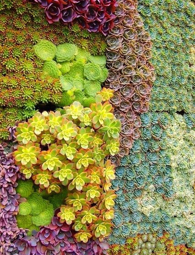 currently crushing on I howsweeteats.com