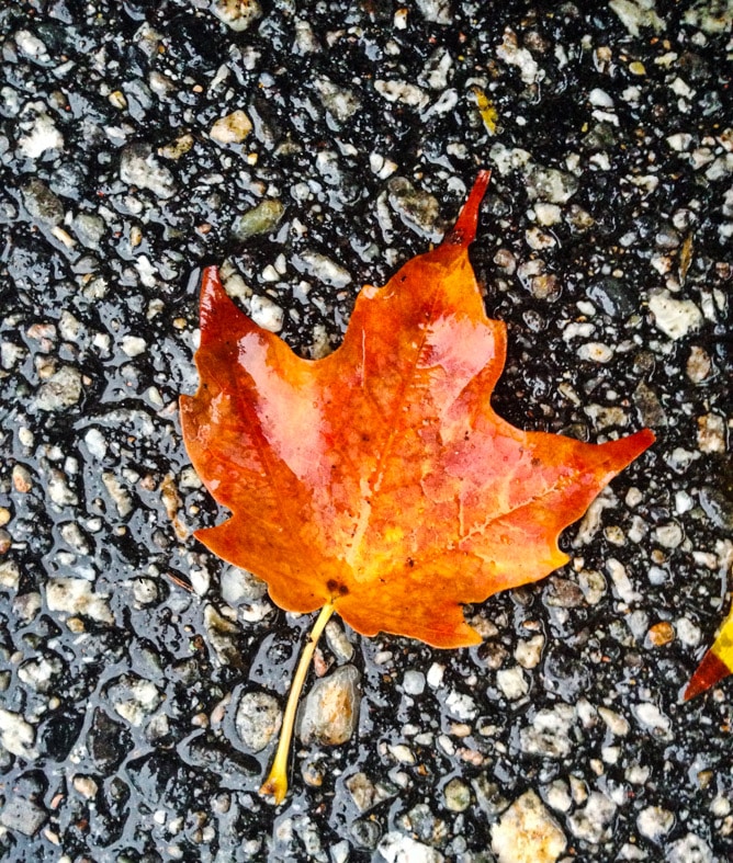 on life lately I howsweeteats.com