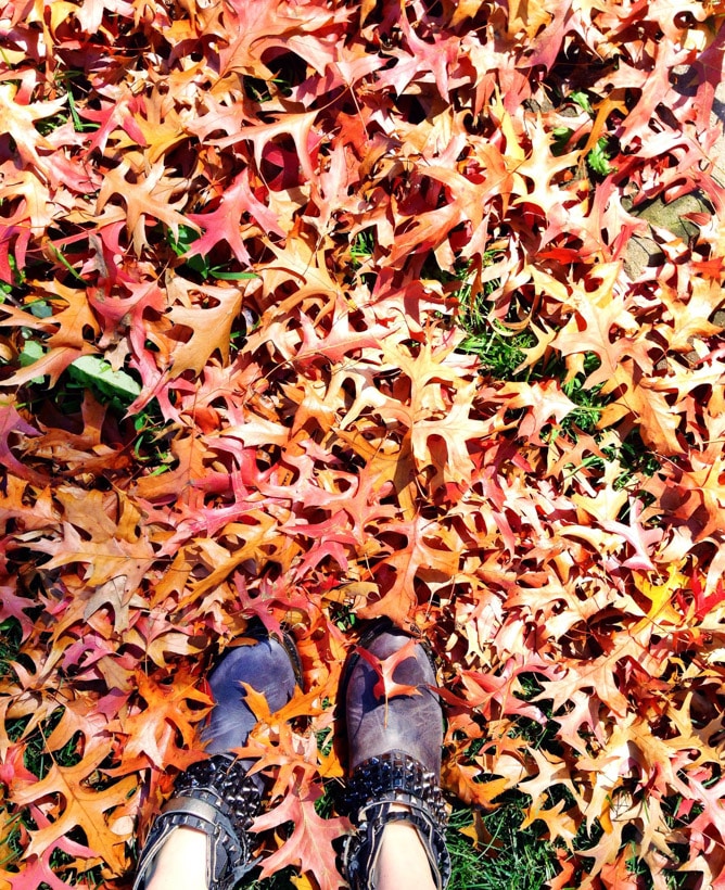 on life lately I howsweeteats.com