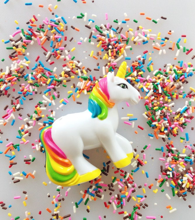 on west coast book tour adventures I howsweeteats.com