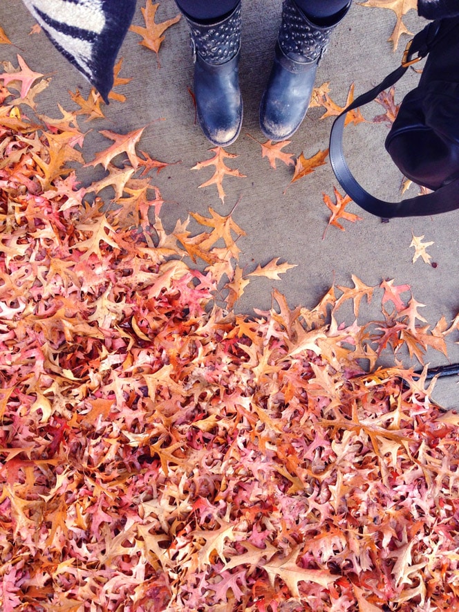 on wednesday ramblings and a list I howsweeteats.com