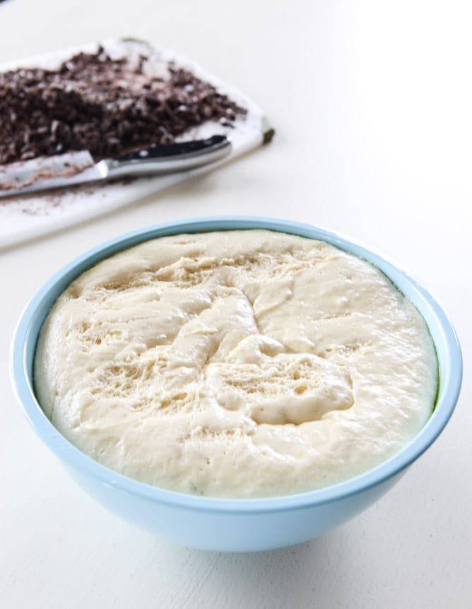 chocolate cinnamon babka muffins I howsweeteats.com