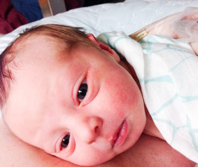 max's birth day I howsweeteats.com