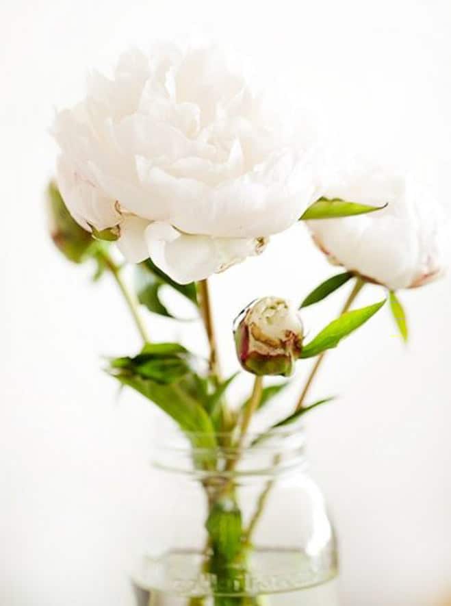 currently crushing on I howsweeteats.com