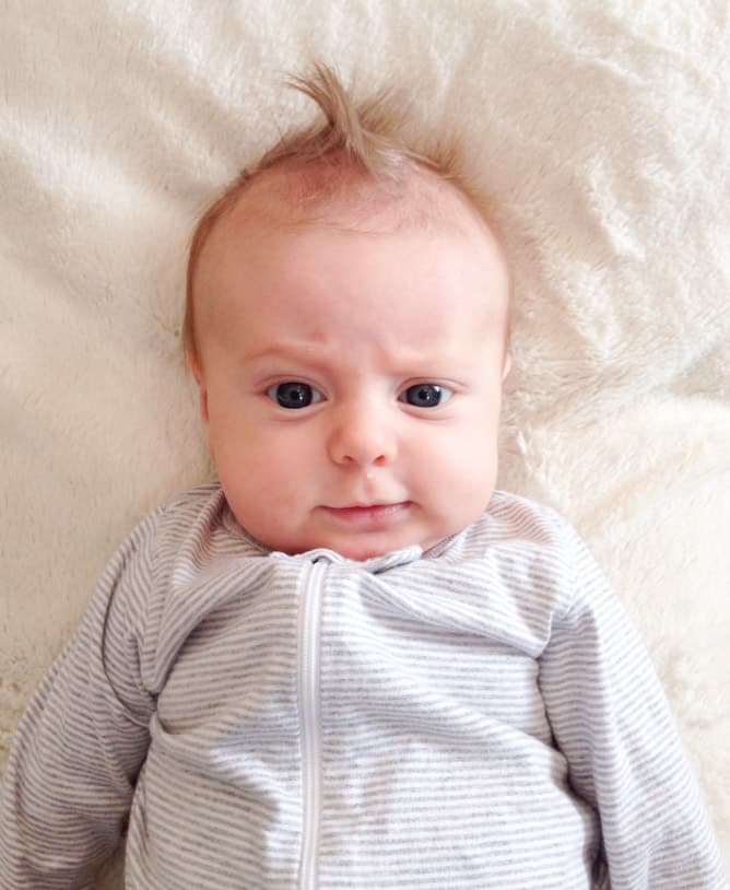 life with max: twelve weeks in I howsweeteats.com