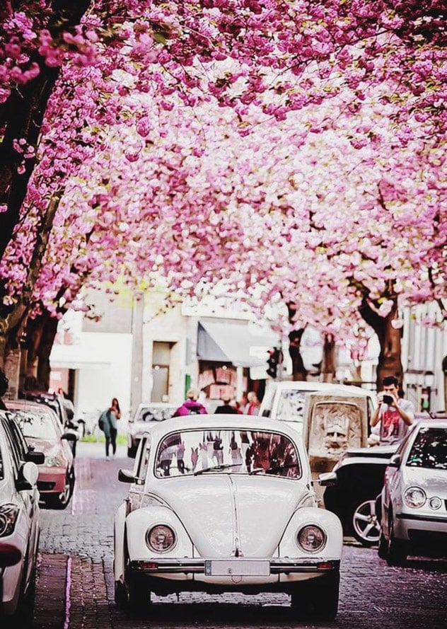 currently crushing on I howsweeteats.com