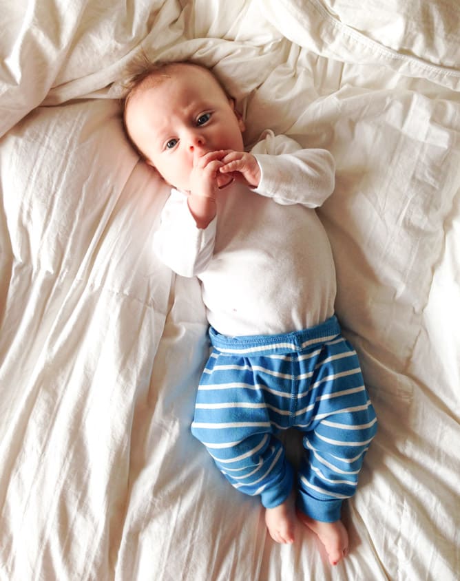 life with max: weeks 12 through 16 I howsweeteats.com