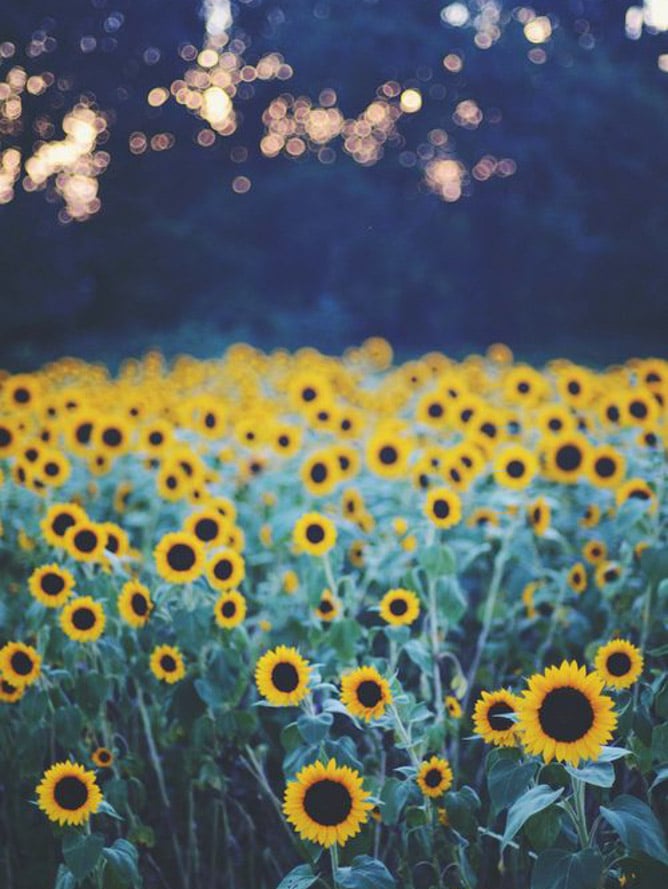 currently crushing on I howsweeteats.com