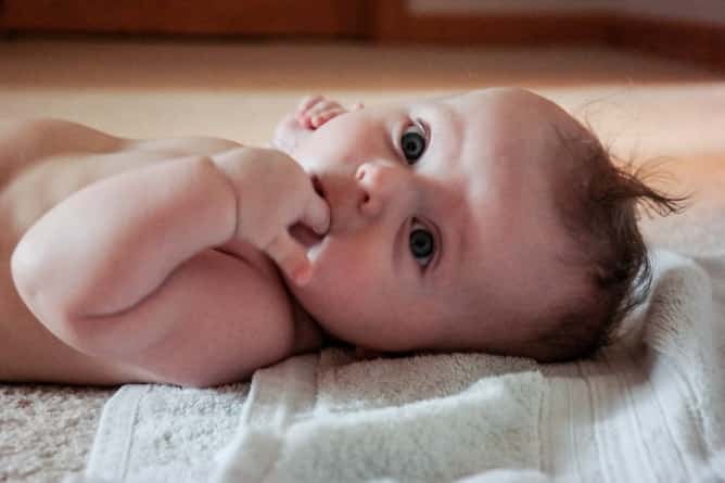 life with max I howsweeteats.com