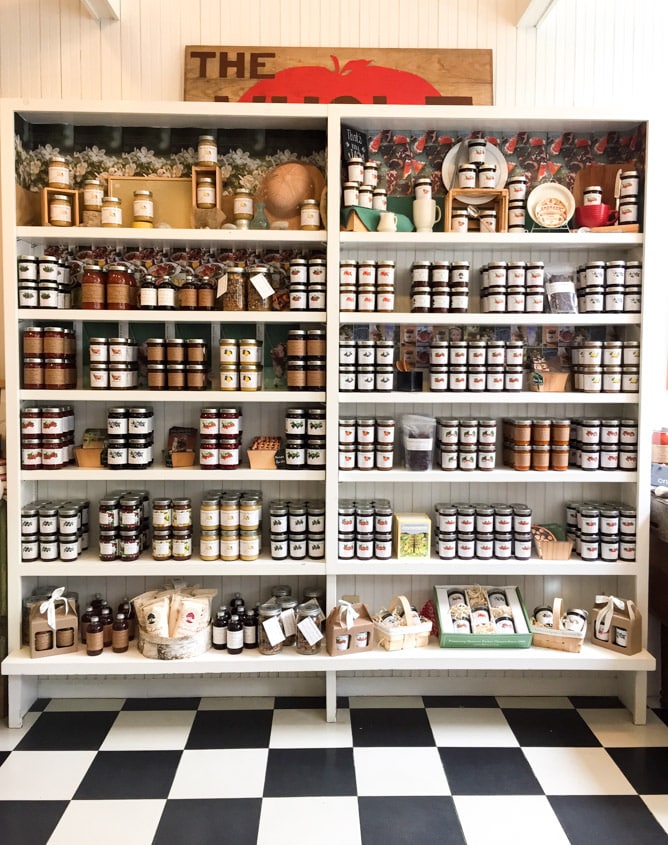 vacation things I howsweeteats.com