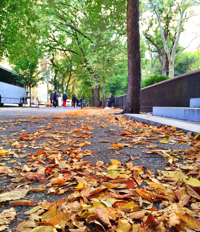 autumn in NYC I howsweeteats.com