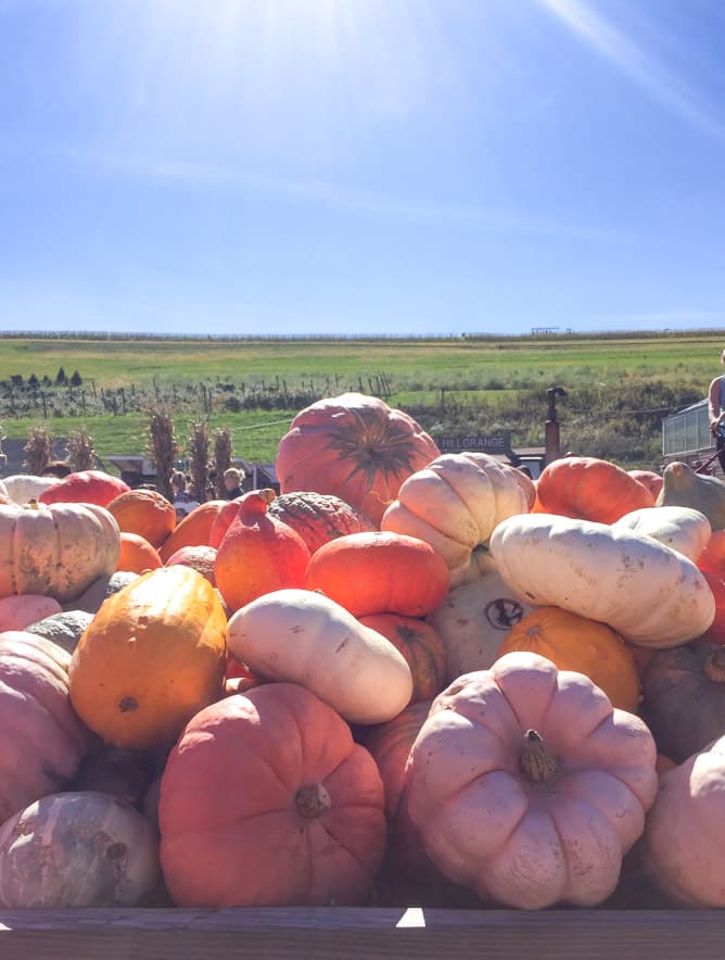 tuesday things I howsweeteats.com