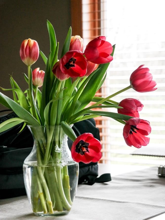 easter week I howsweeteats.com