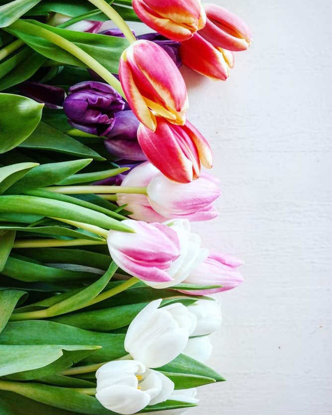 easter week I howsweeteats.com