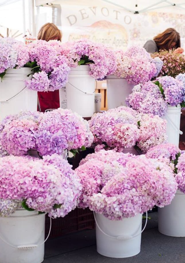 currently crushing on I howsweeteats.com