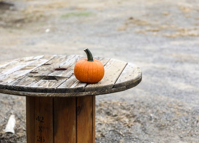 apple picking I howsweeteats.com