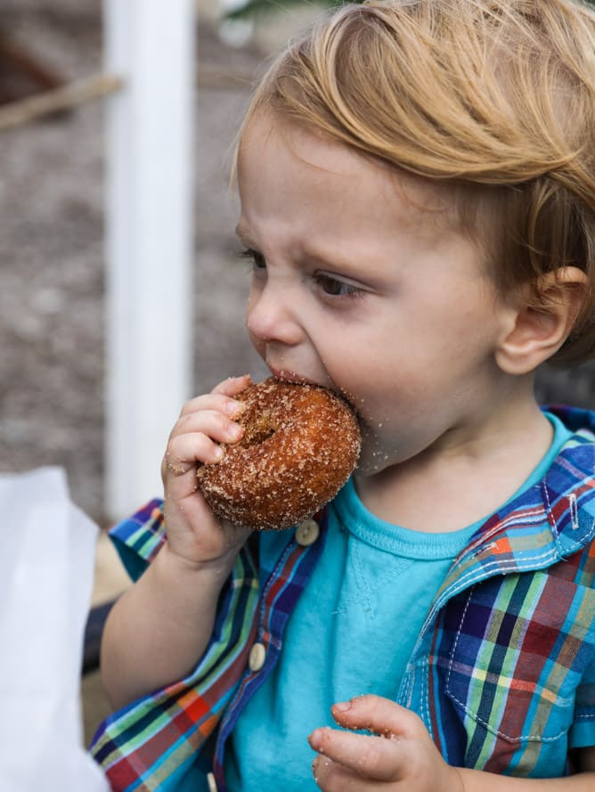 apple picking I howsweeteats.com