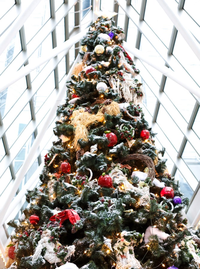 weekend photo diary I howsweeteats.com