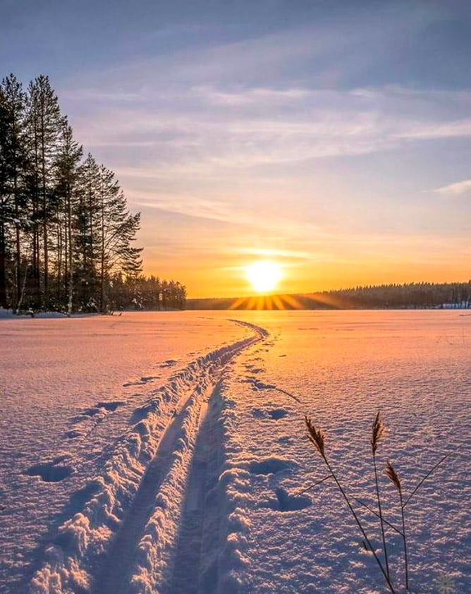 currently crushing on I howsweeteats.com