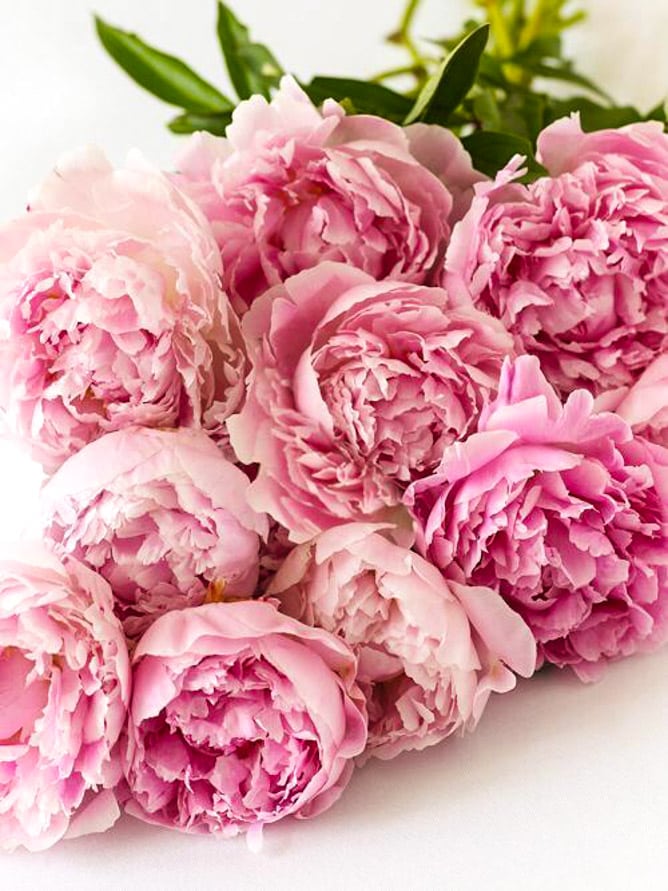 currently crushing on I howsweeteats.com