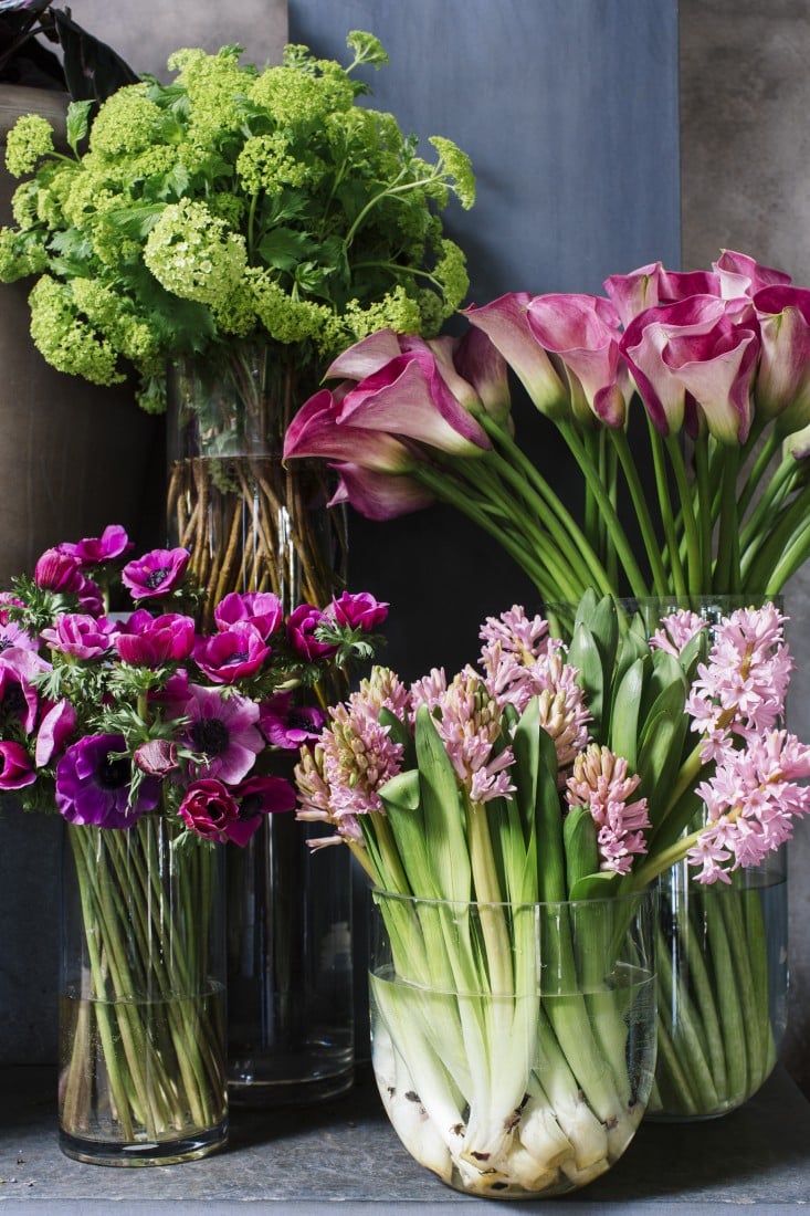 currently crushing on I howsweeteats.com