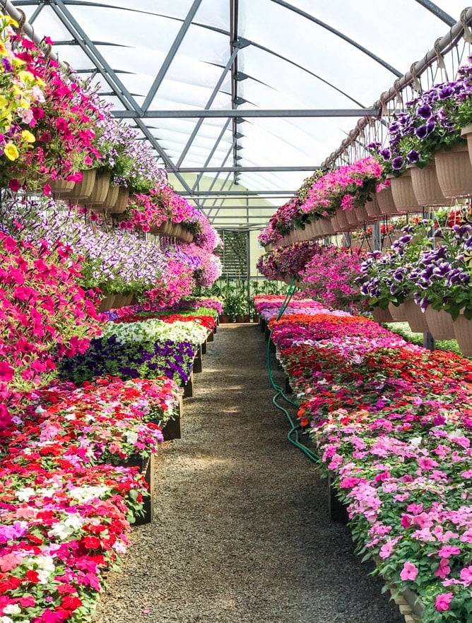 currently crushing on I howsweeteats.com