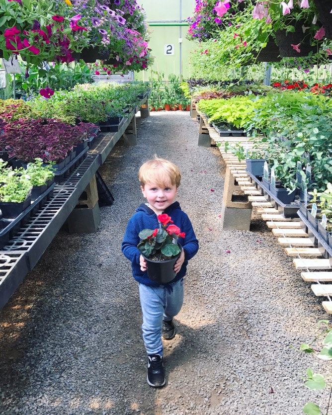 max moments I howsweeteats.com