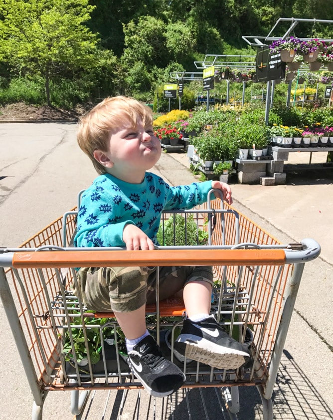 life with max at 2.5 years old I howsweeteats.com