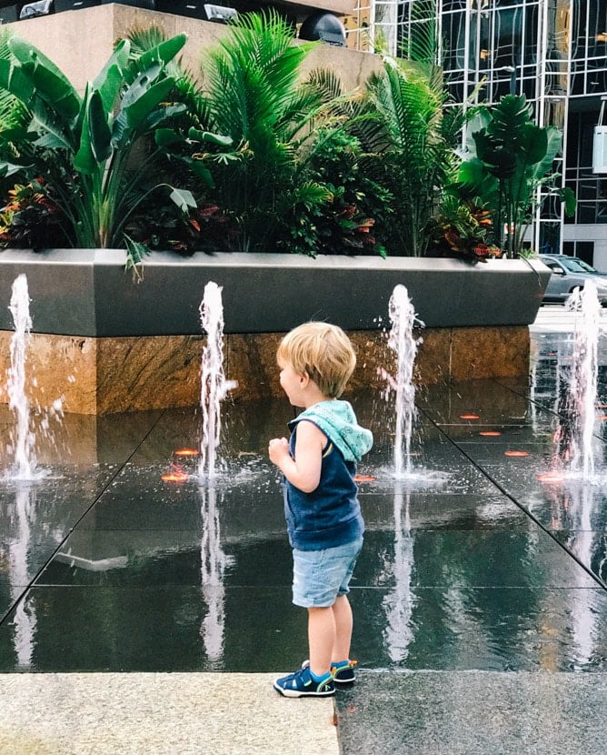 weekend snapshots I howsweeteats.com