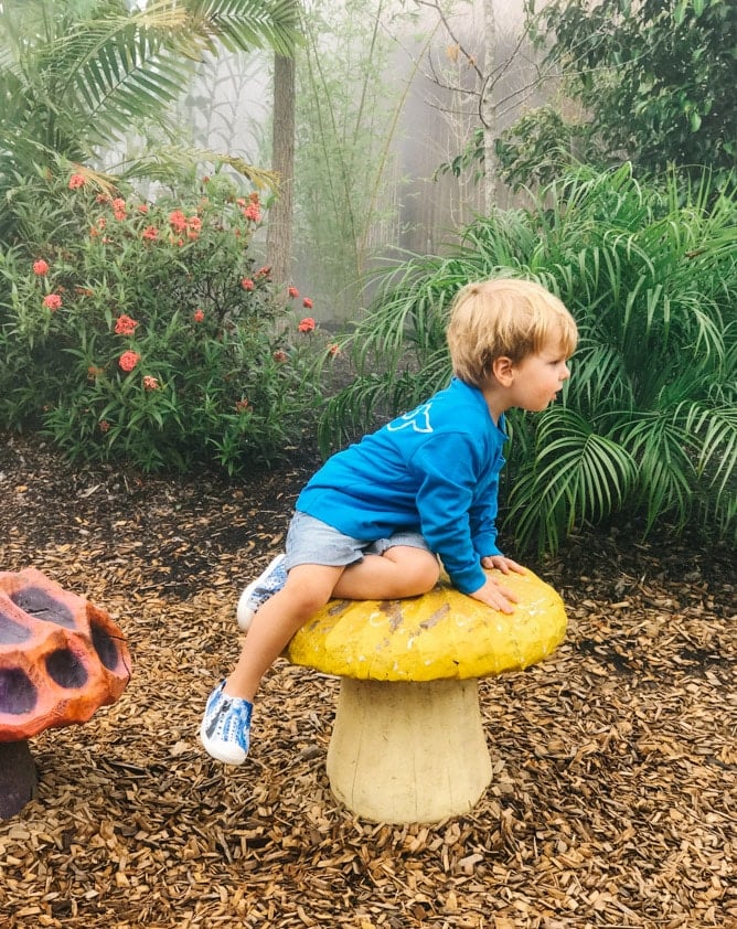 weekend snapshots I howsweeteats.com