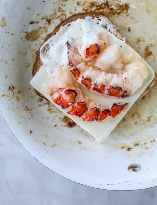 lobster grilled cheese with tarragon garlic butter I howsweeteats.com