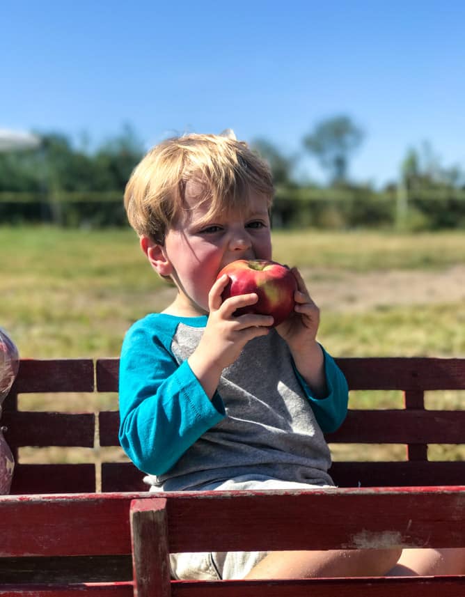 adventures in apple picking I howsweeteats.com