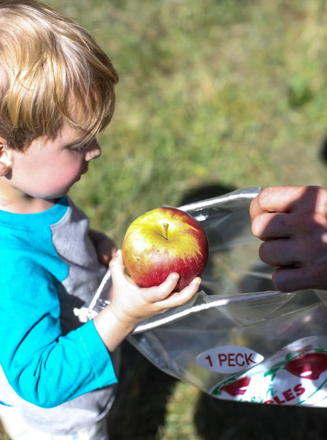 adventures in apple picking I howsweeteats.com