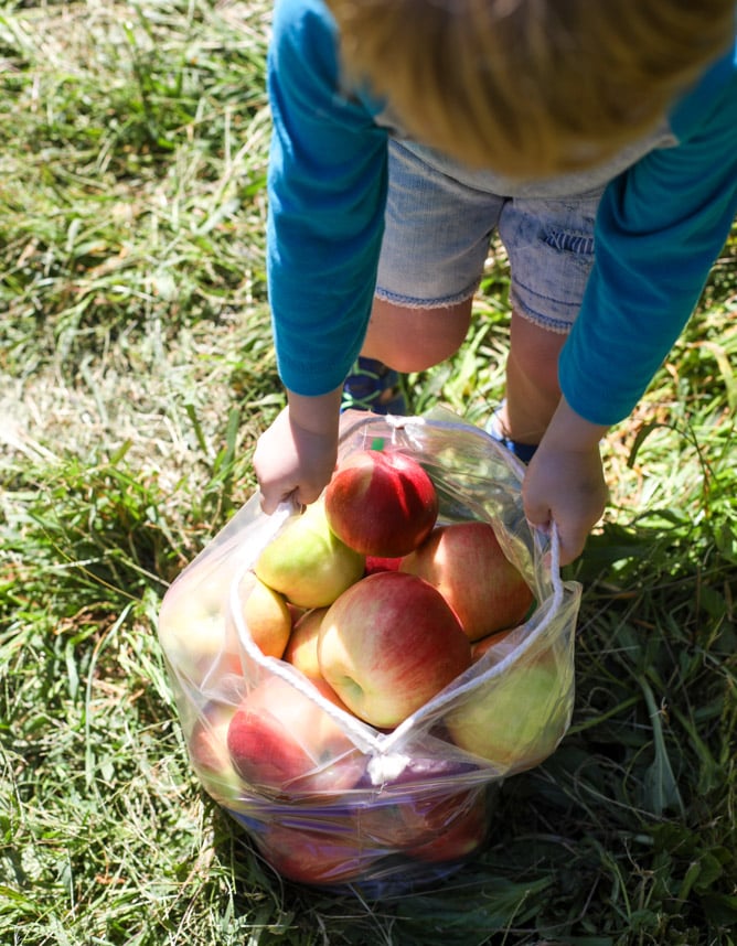 adventures in apple picking I howsweeteats.com