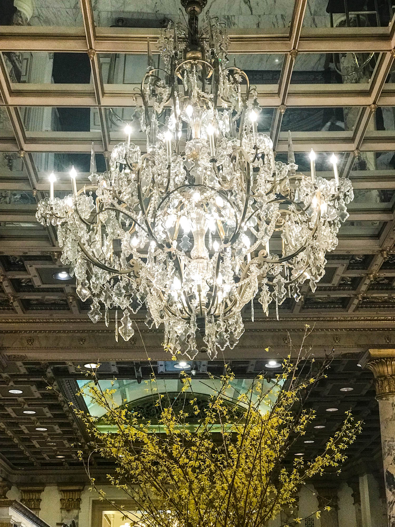 24 hours in boston for the pretty dish I howsweeteats.com