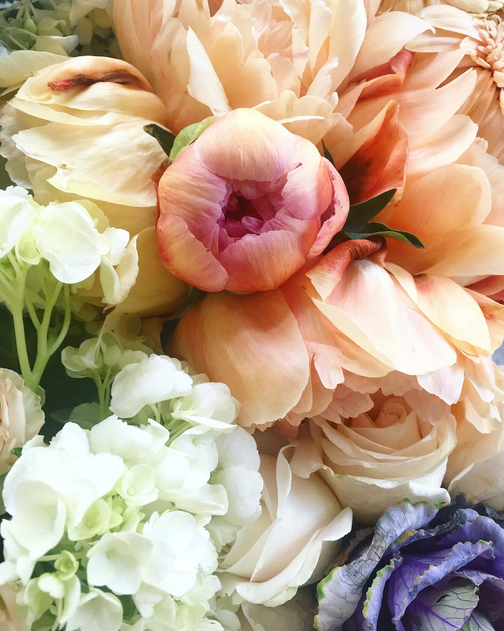 tuesday things I howsweeteats.com