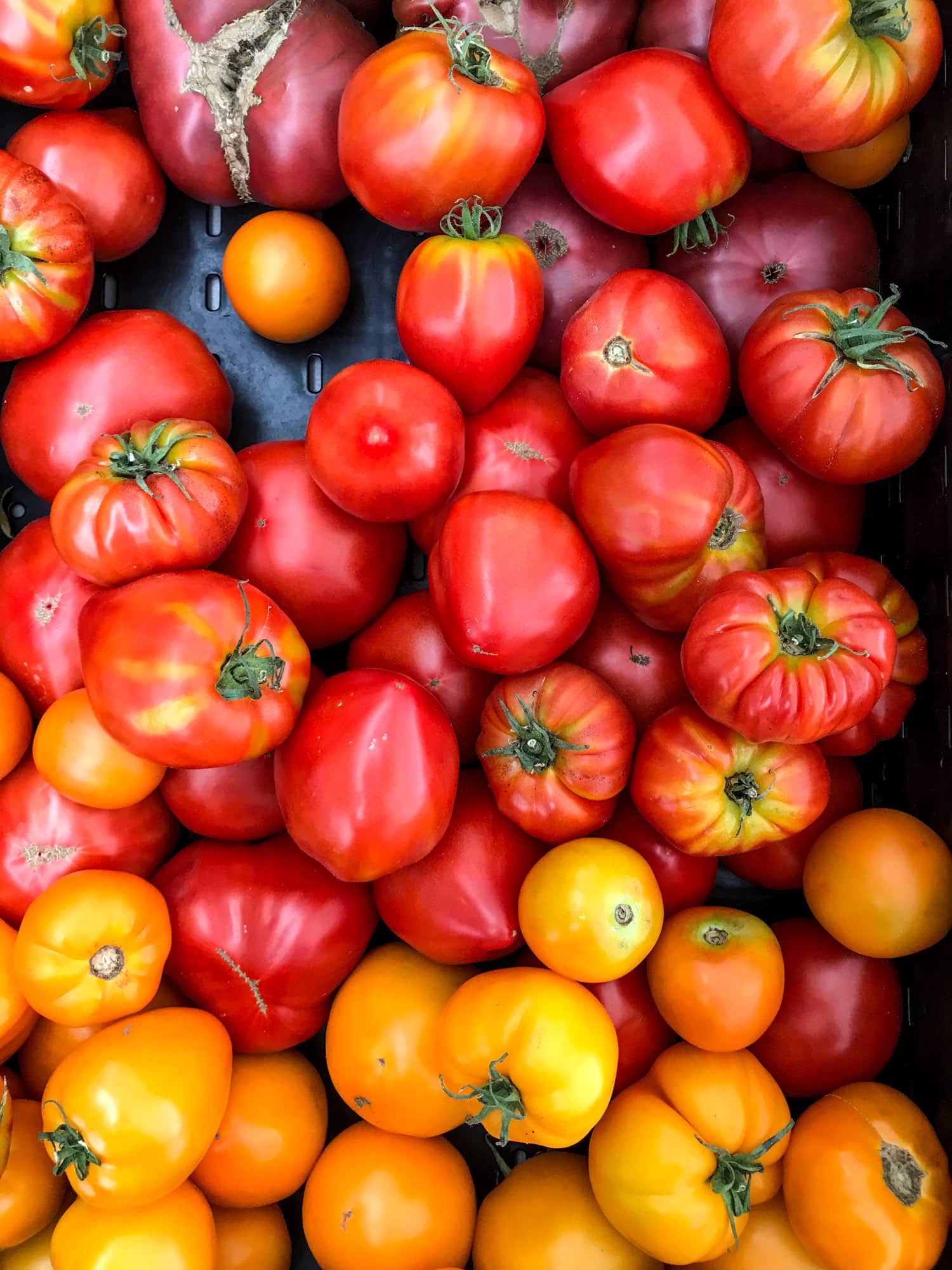 boyne city 2018 I howsweeteats.com