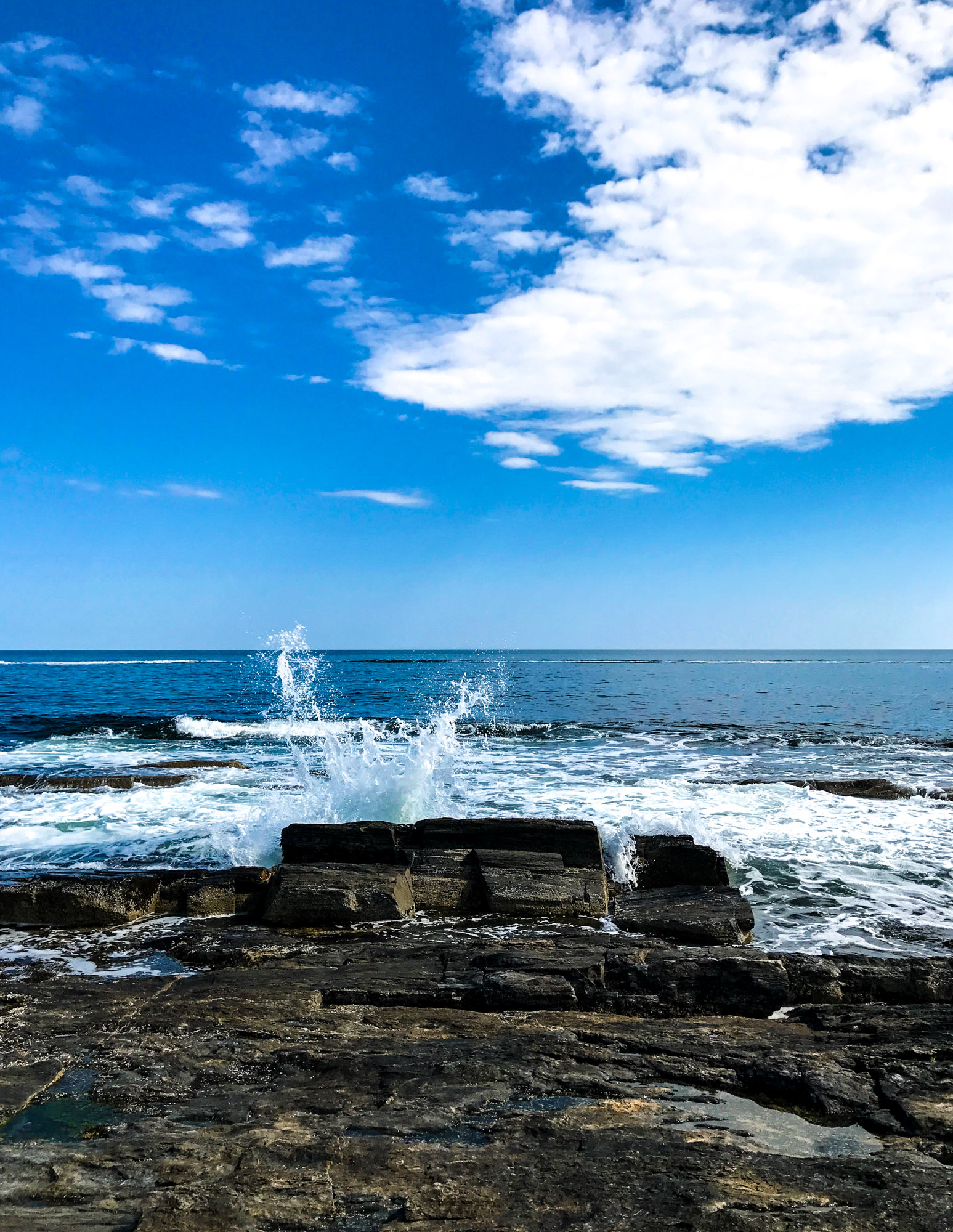 currently crushing on I howsweeteats.com