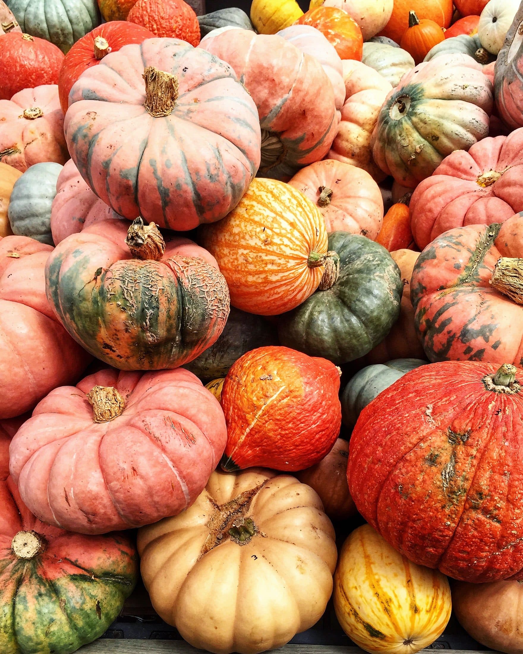 currently crushing on I howsweeteats.com