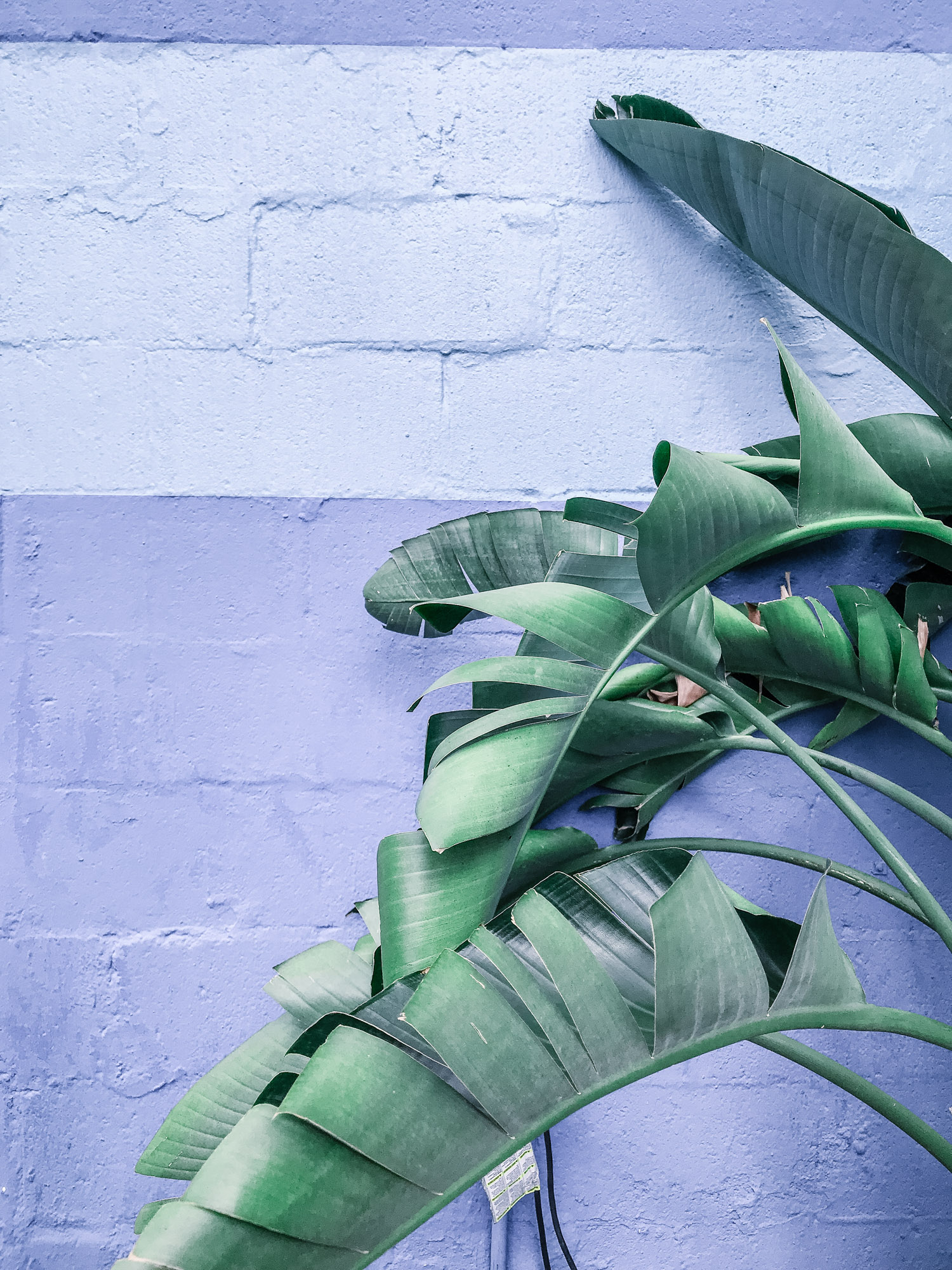 on building a blog audience I howsweeteats.com