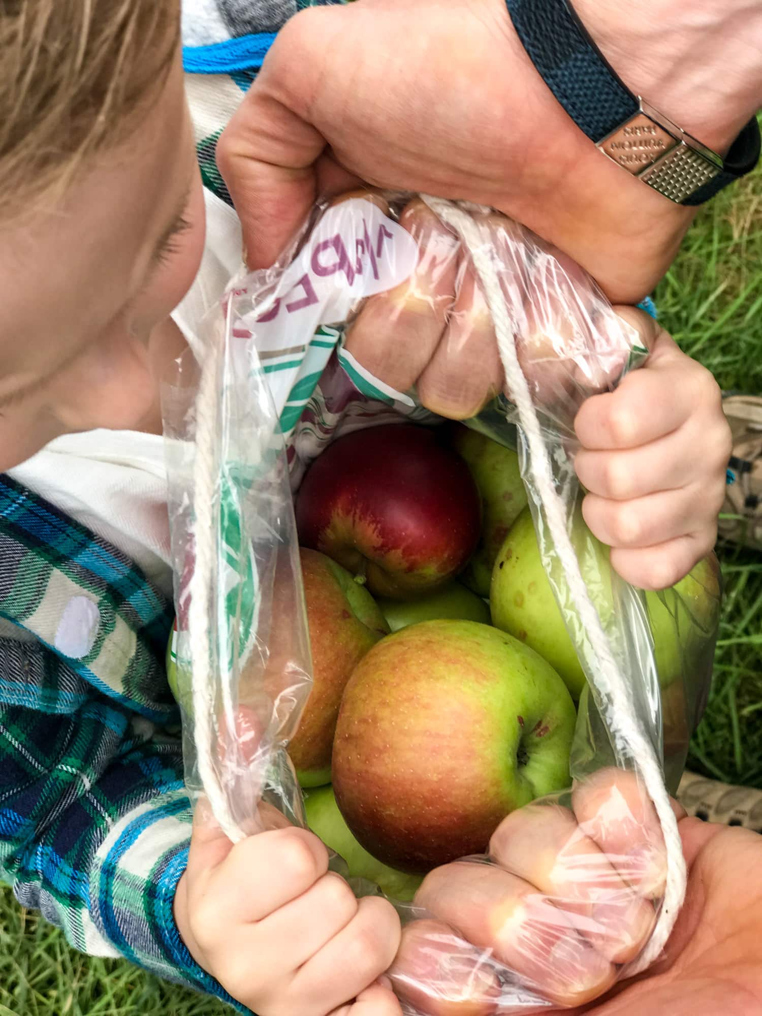 adventures in apple picking I howsweeteats.com