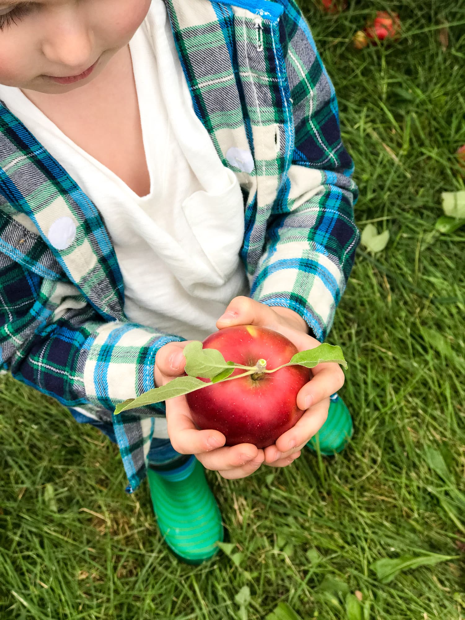 adventures in apple picking I howsweeteats.com
