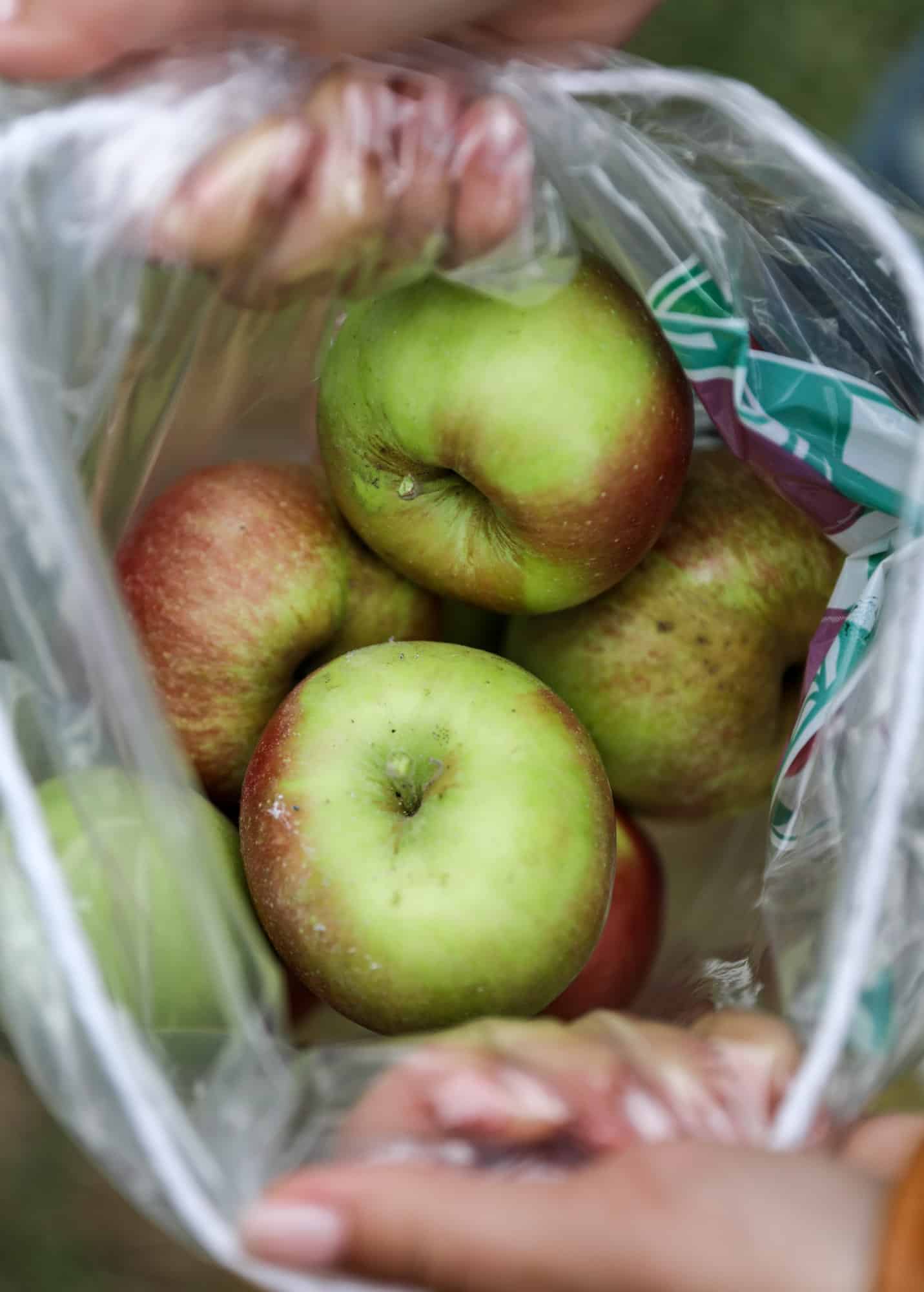 currently crushing on I howsweeteats.com