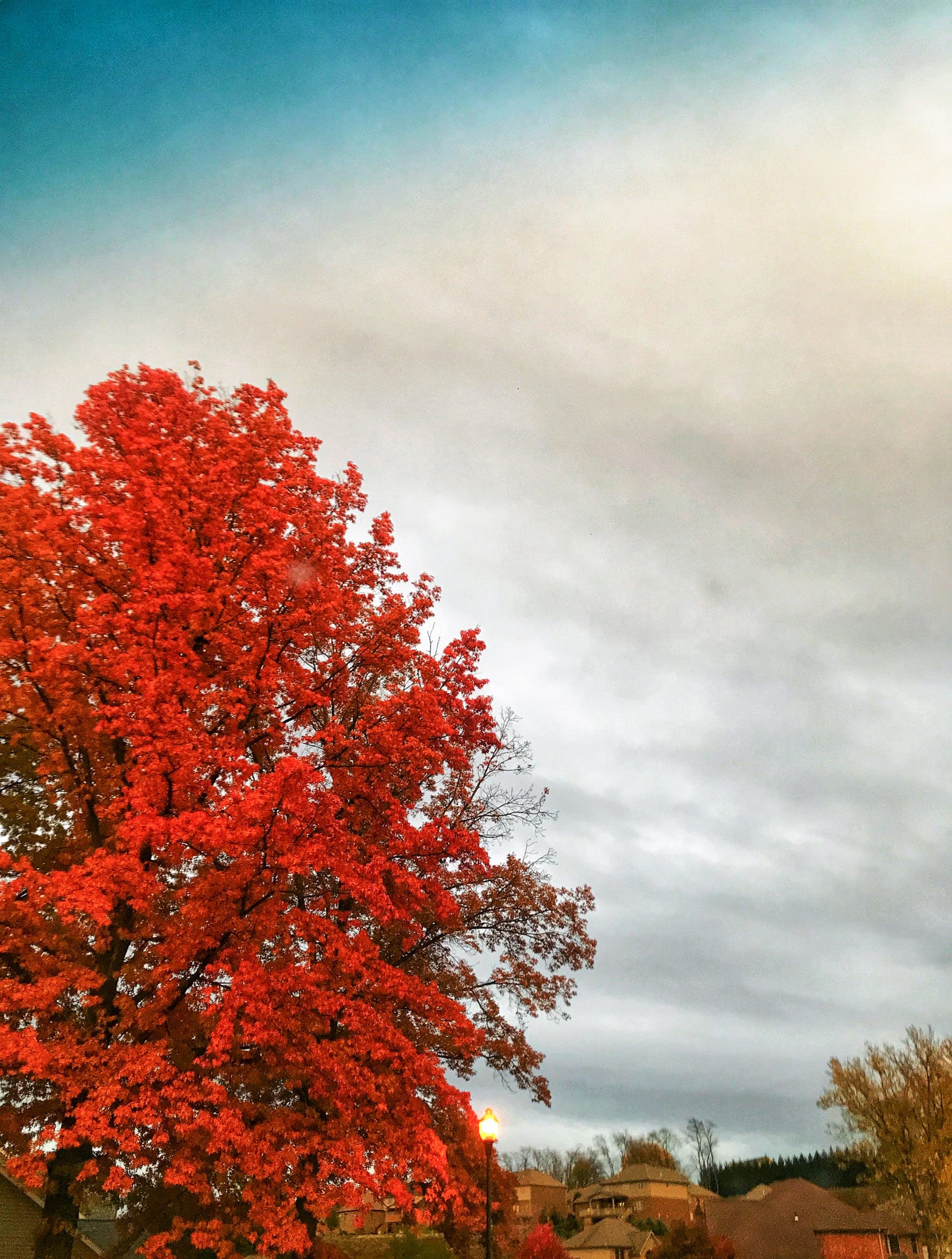 currently crushing on I howsweeteats.com