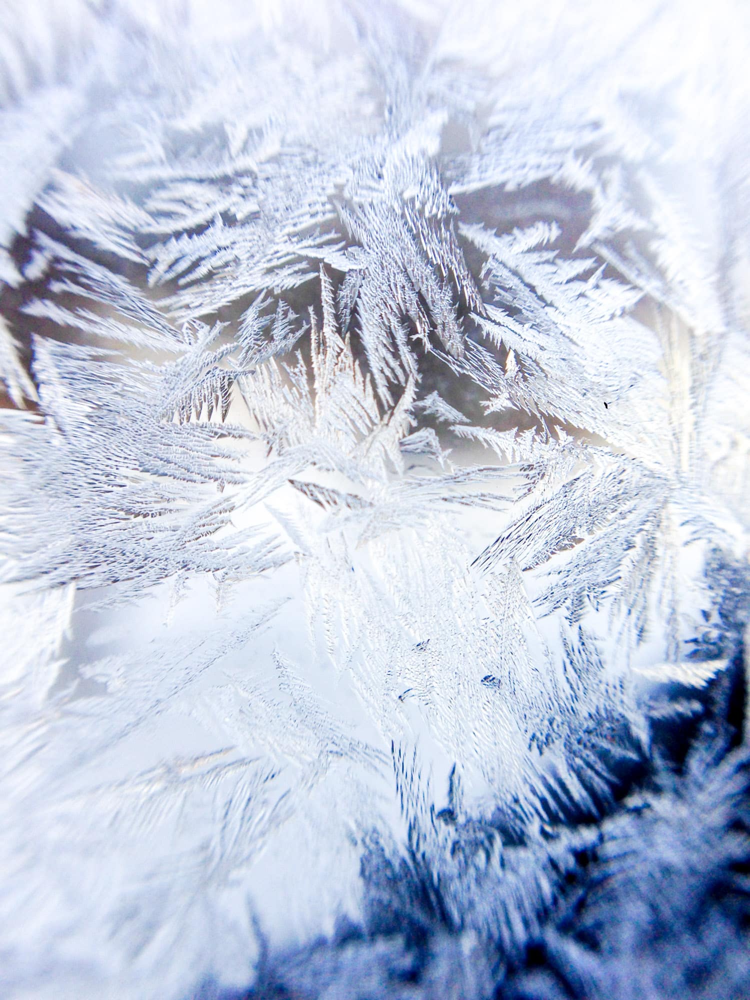 currently crushing on I howsweeteats.com