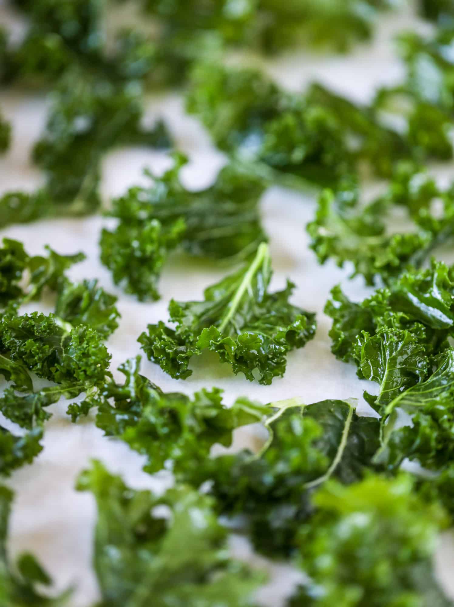 Parmesan pistachio kale chips are an easy and healthy snack - fully of nutty, cheesy flavor and crispy like regular chips! I howsweeteats.com